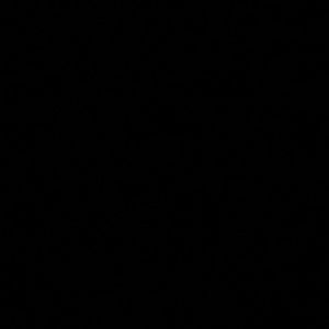 Meet your Posher, Jayden